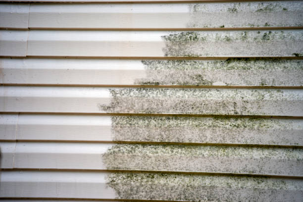 Best Siding Removal and Disposal  in Santa Nella, CA